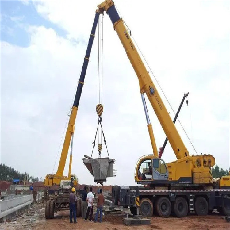 阜南小型吊机出租电话|厂房设备吊装方案|24小时服务覆盖